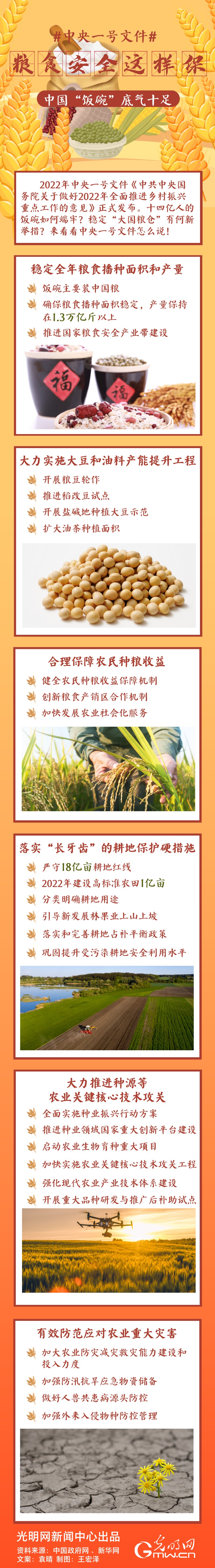 中央一號(hào)文件｜糧食安全這樣保，中國(guó)“飯碗”底氣十足