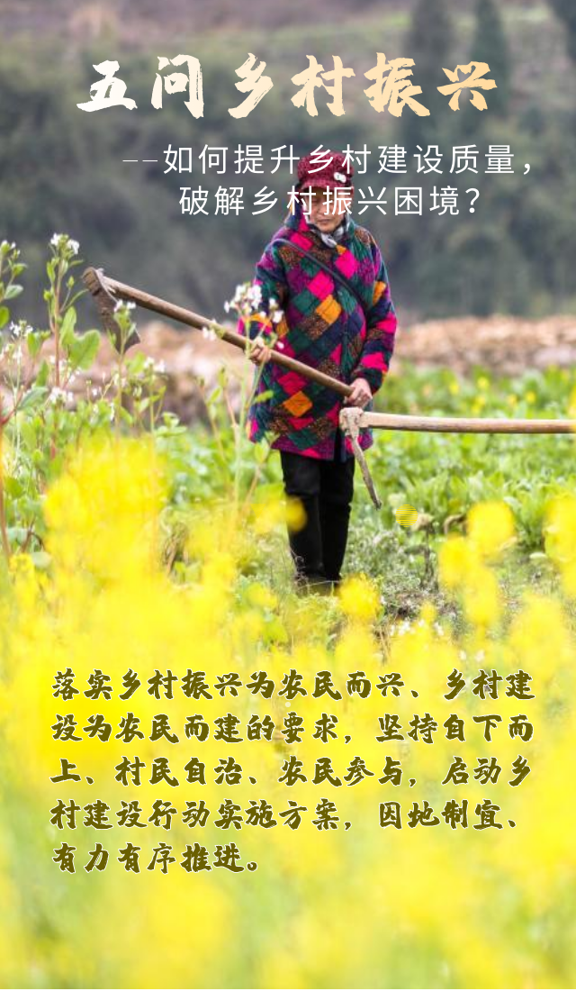 五問鄉(xiāng)村振興——看中央一號(hào)文件如何開啟鄉(xiāng)村振興新篇章