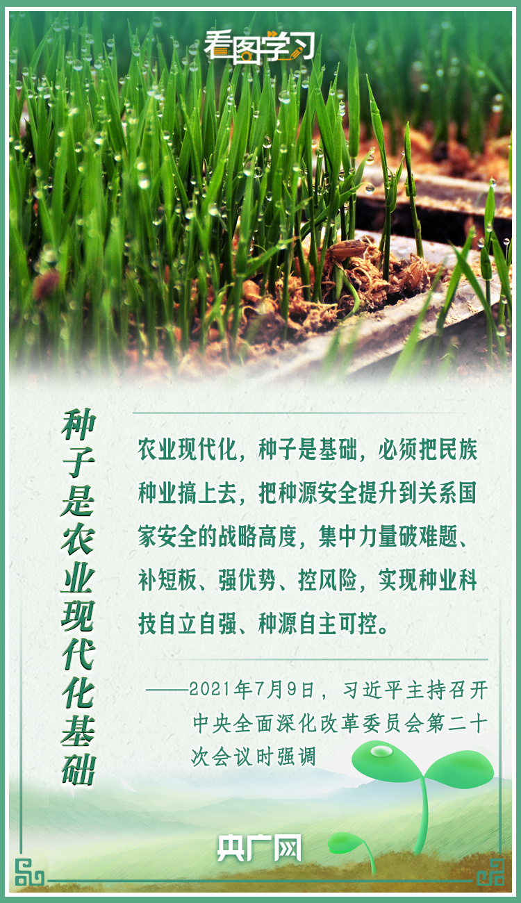 看圖學(xué)習(xí)|牢記總書(shū)記叮囑 攥緊種子端牢飯碗
