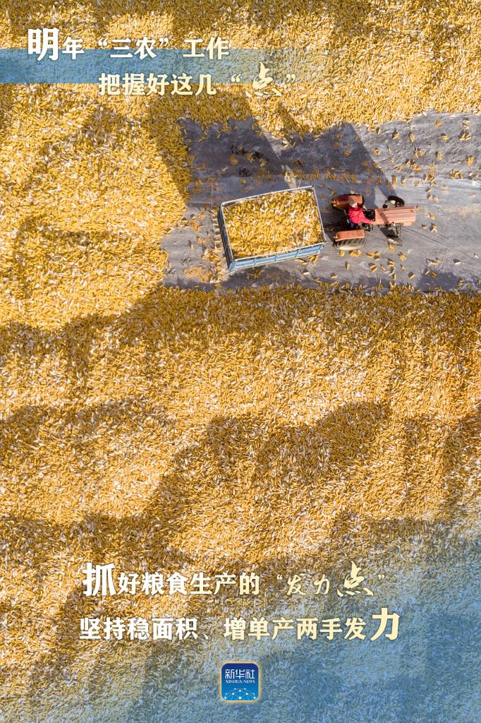 明年“三農(nóng)”工作，這幾個(gè)“點(diǎn)”要把握好