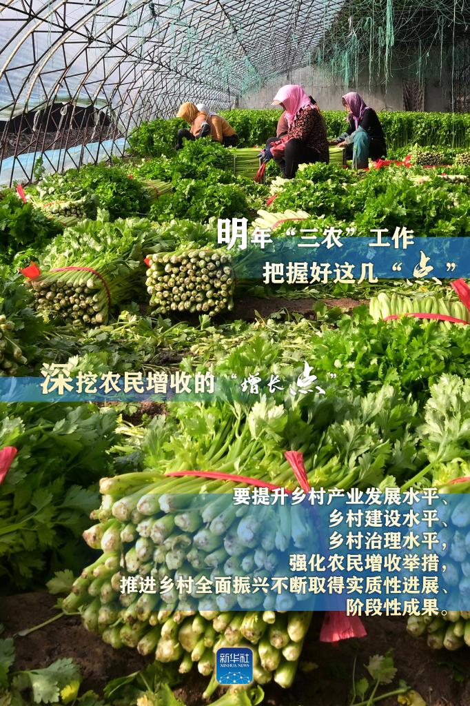 明年“三農(nóng)”工作，這幾個(gè)“點(diǎn)”要把握好