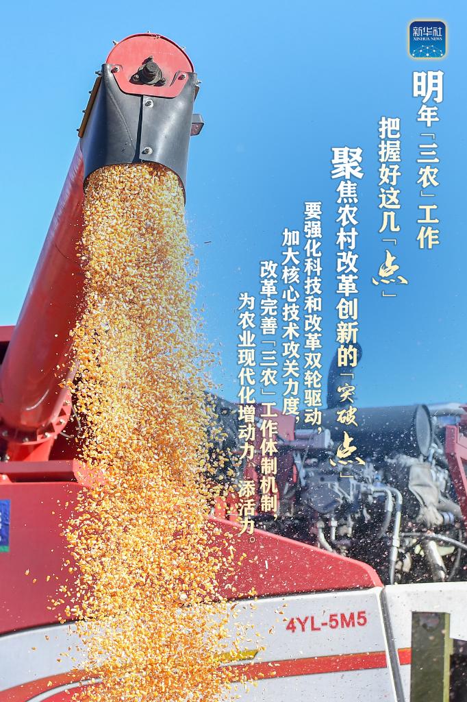 明年“三農(nóng)”工作，這幾個(gè)“點(diǎn)”要把握好