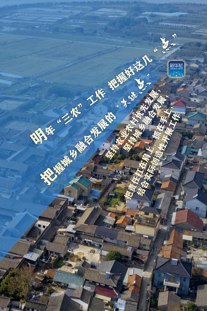 明年“三農(nóng)”工作，這幾個(gè)“點(diǎn)”要把握好