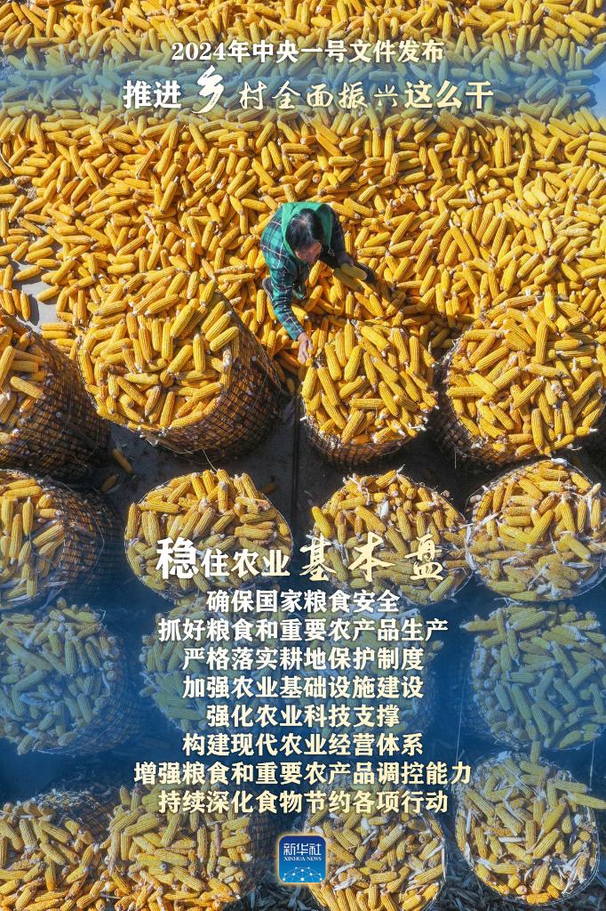 2024年中央一號(hào)文件:推進(jìn)鄉(xiāng)村全面振興這么干