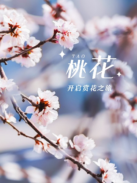 追花指南第三期！別等了 今天就去和桃花撞個(gè)滿懷