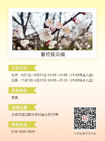 追花指南第六期！杏花雨 楊柳風(fēng) 北京最美的杏花在這里