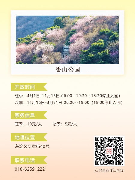 追花指南第六期！杏花雨 楊柳風(fēng) 北京最美的杏花在這里