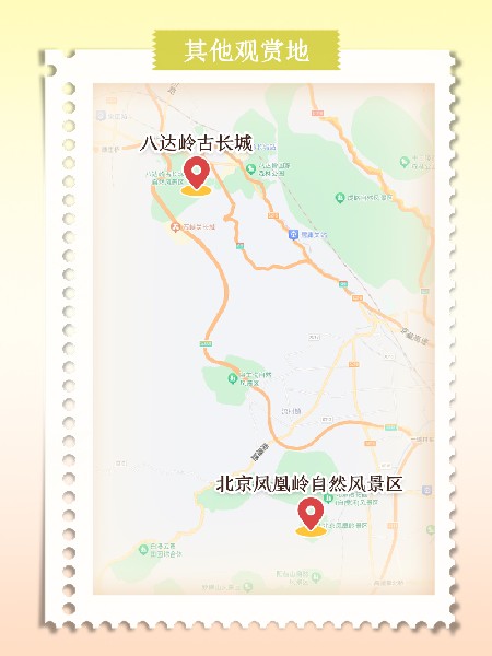 追花指南第六期！杏花雨 楊柳風(fēng) 北京最美的杏花在這里