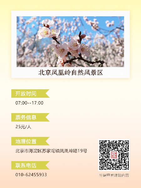 追花指南第六期！杏花雨 楊柳風(fēng) 北京最美的杏花在這里