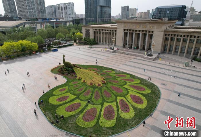 圖為航拍花壇。(無人機照片) 翟羽佳 攝