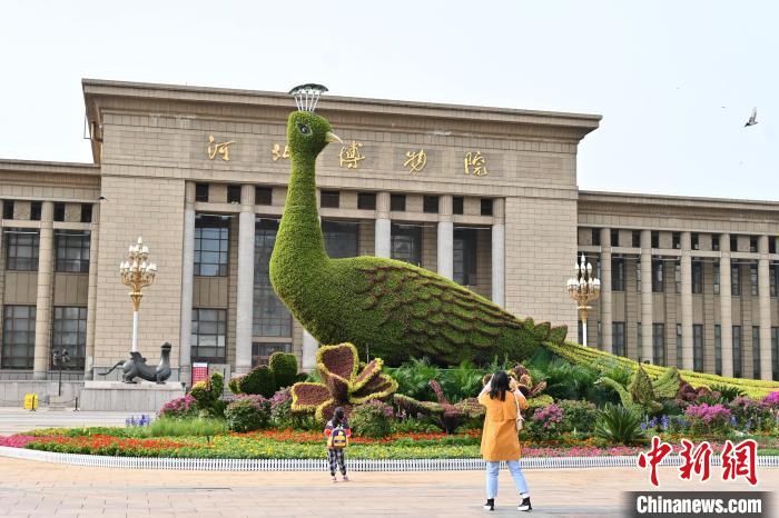 圖為游客在花壇前拍照打卡?！〉杂鸺?攝