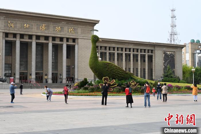 圖為游客在花壇前拍照打卡?！〉杂鸺?攝