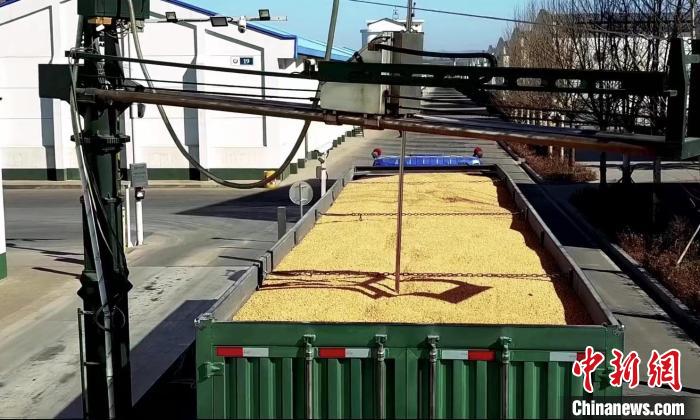 探訪(fǎng)“大國(guó)糧倉(cāng)”：糧食入住“智能空調(diào)房”舒適過(guò)四季