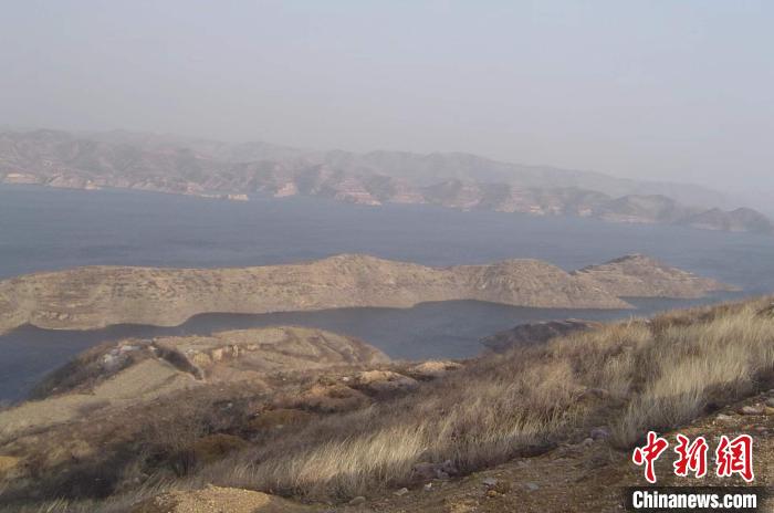 圖為生態(tài)園區(qū)域原貌?！●T華 攝