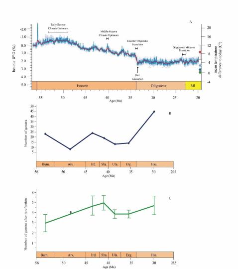 早始新世至早漸新世東亞嚙齒類屬級(jí)多樣性變化?！≈锌圃汗偶棺邓?供圖