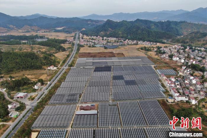 井岡山山鄉(xiāng)發(fā)展“蝶變記”：農村產(chǎn)業(yè)抱團鄉(xiāng)村旅游富民