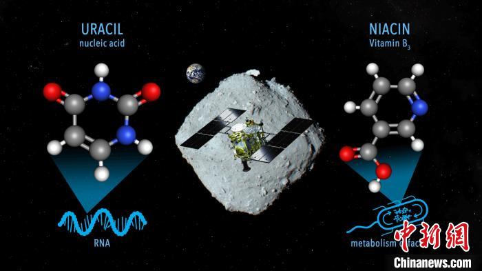 國(guó)際最新研究稱,近地小行星“龍宮”上發(fā)現(xiàn)尿嘧啶等核酸堿基