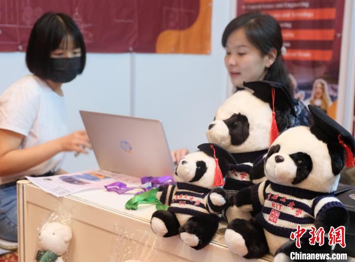 北京理工大學(xué)帶來可愛熊貓玩偶，頗為吸睛 陳悅 攝