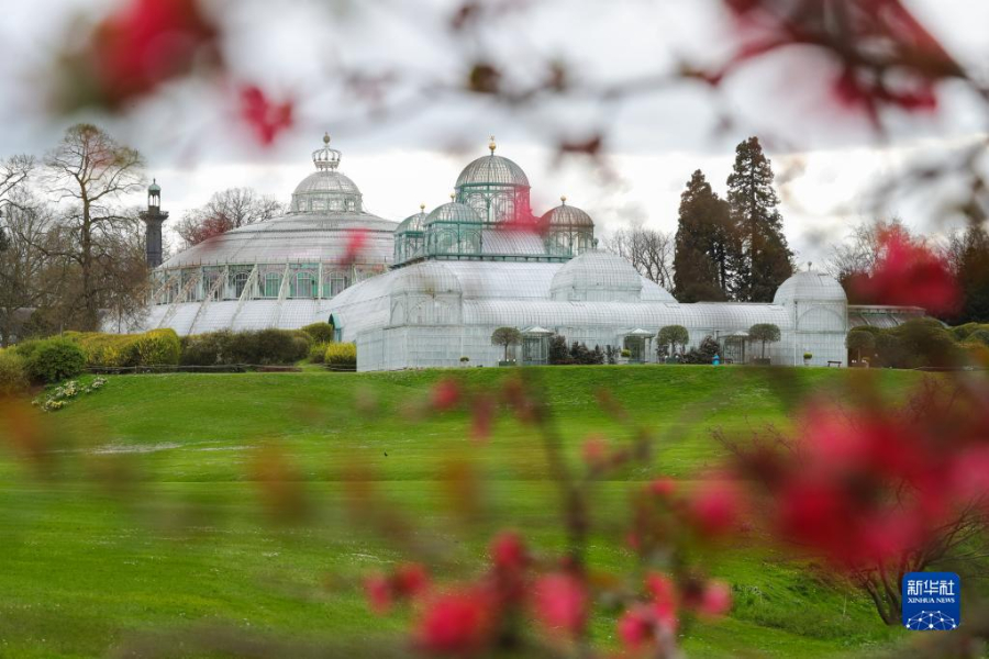 這是4月14日在比利時布魯塞爾拍攝的拉肯宮王家溫室花園。新華社記者 鄭煥松 攝