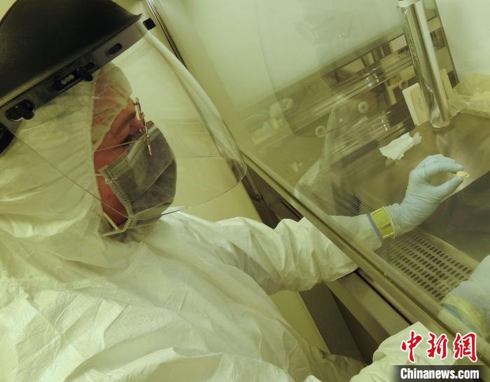 Elena Essel在凈室中處理鹿牙墜飾(圖片來自馬克斯·普朗克演化人類學(xué)研究所)?！∈┢樟指瘛ぷ匀?供圖