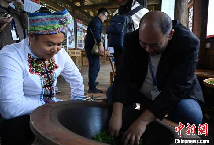 東盟國(guó)家媒體記者了解制茶工藝?！堊?攝
