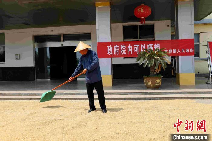 村民在棗莊市嶧城區(qū)古邵鎮(zhèn)政府大院內(nèi)晾曬糧食?！『?　攝