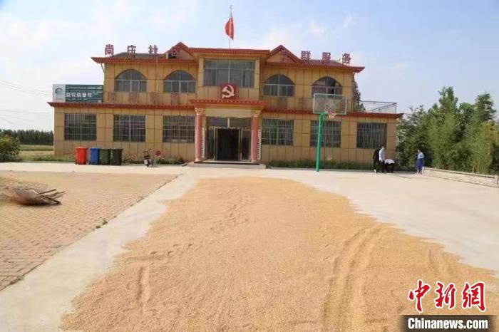農(nóng)民在邳莊鎮(zhèn)尚莊村黨群服務(wù)中心大院里曬糧?！≠Z萌 攝