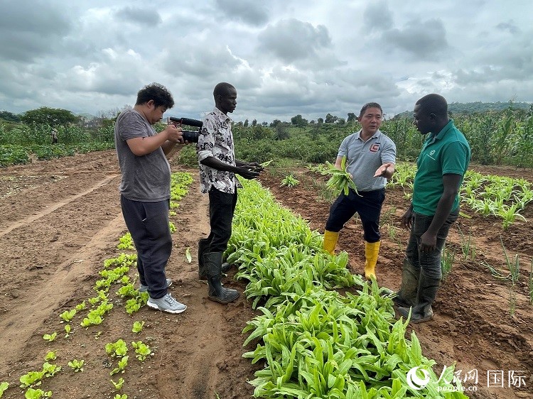 人民網(wǎng)記者走進尼日利亞農(nóng)業(yè)技術(shù)示范中心。人民網(wǎng)記者 趙艷紅攝