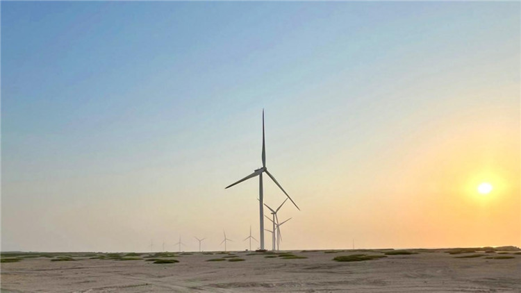 圖為阿聯(lián)酋風(fēng)電示范項(xiàng)目在阿布扎比薩爾巴尼亞斯島上的風(fēng)電場。 中國電建供圖