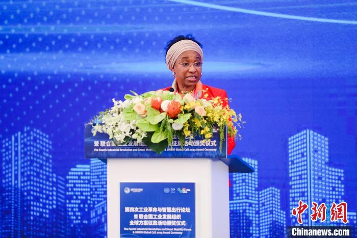 聯(lián)合國工業(yè)發(fā)展組織總干事代表兼執(zhí)行干事法圖 海達(dá)拉致辭。