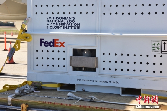 當(dāng)?shù)貢r(shí)間11月8日，美國(guó)華盛頓史密森學(xué)會(huì)國(guó)家動(dòng)物園的大熊貓“美香”“添添”和它們的幼崽“小奇跡”乘坐的專機(jī)從華盛頓杜勒斯國(guó)際機(jī)場(chǎng)起飛前往中國(guó)成都。圖為裝有大熊貓的特制“旅行箱”。<a target='_blank' href='/'><p  align=