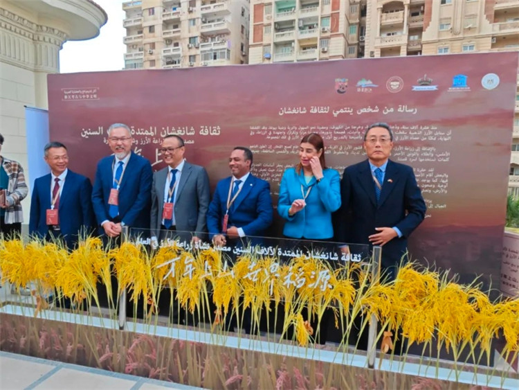 圖為現(xiàn)場(chǎng)嘉賓為特展啟幕。開(kāi)羅中國(guó)文化中心供圖