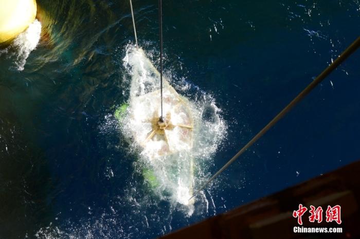 機(jī)器人入水瞬間。<a target='_blank' href='/' _fcksavedurl='/' ><p  align=