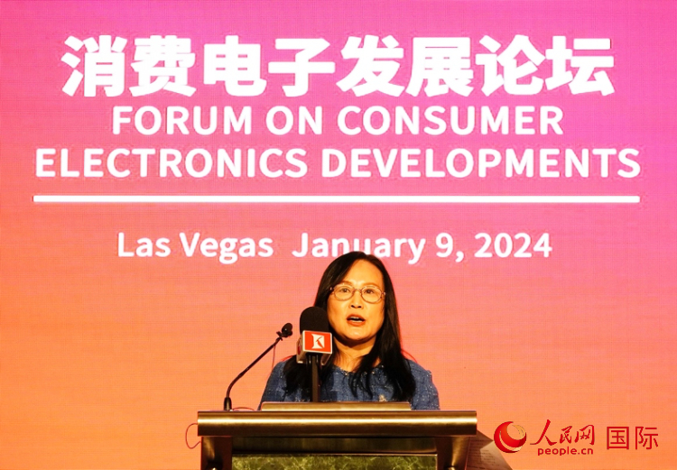 中國機電產(chǎn)品進出口商會副會長劉春致辭。人民網(wǎng)記者 鄧圩攝