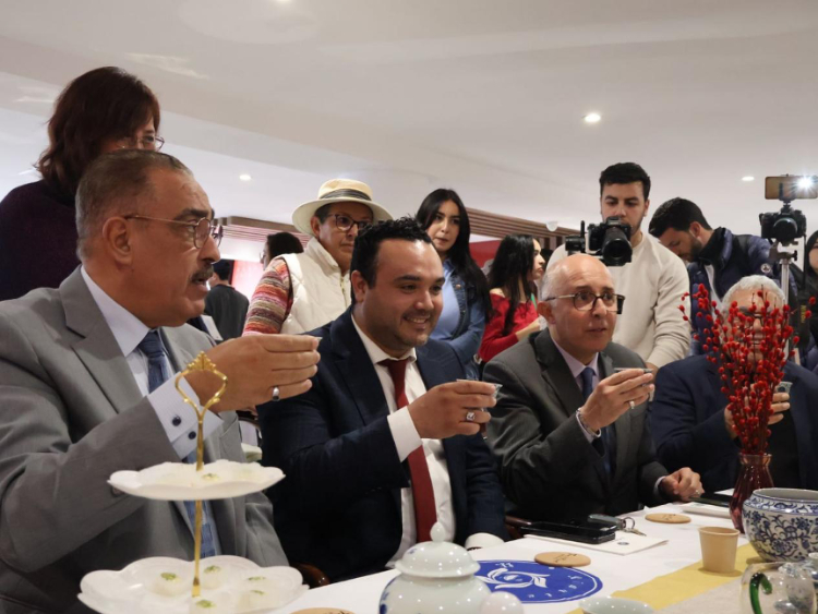 觀眾興致勃勃地體驗茶藝。陳芷珊攝