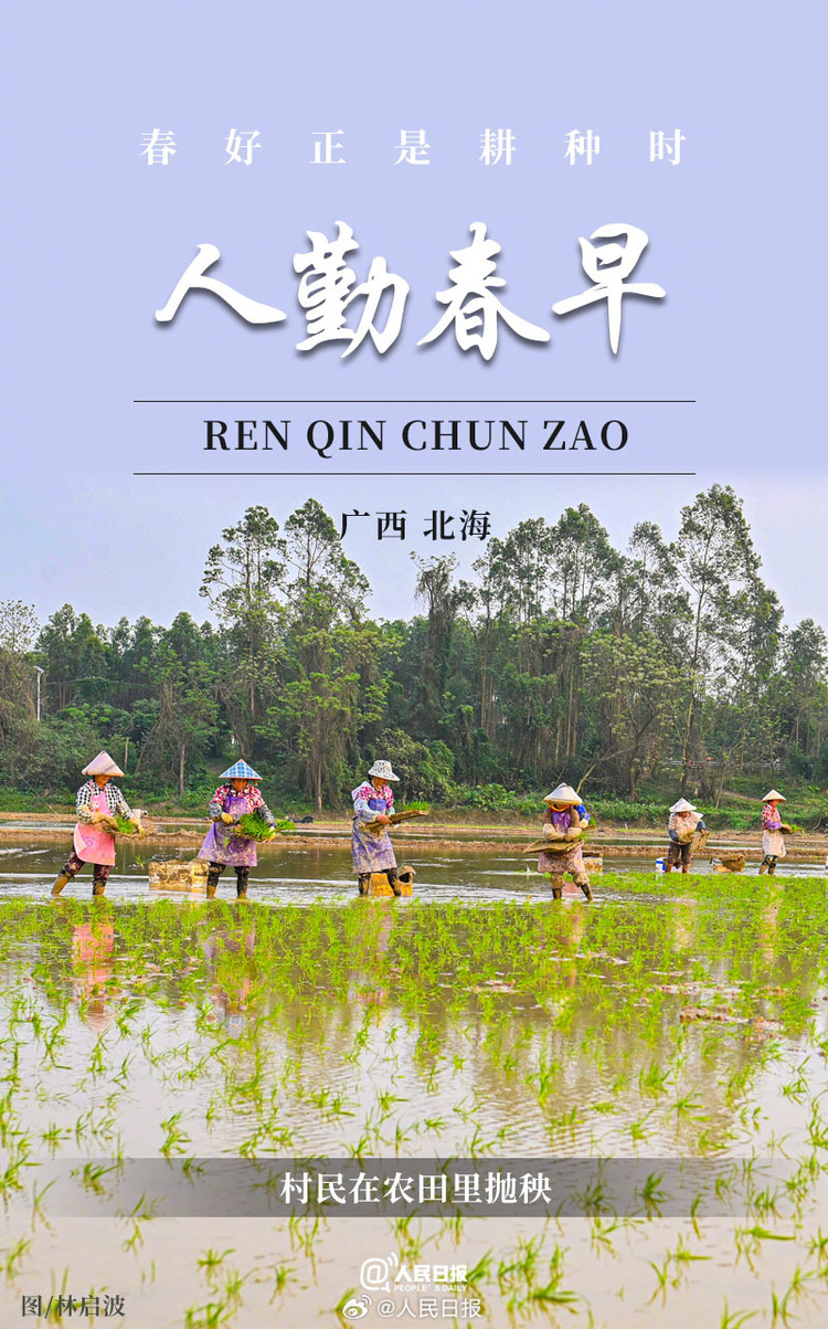 生機盎然！用課本封面打開春耕畫卷