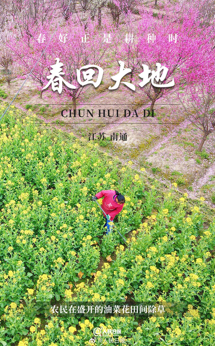 生機盎然！用課本封面打開春耕畫卷