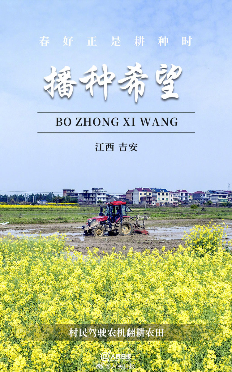 生機盎然！用課本封面打開春耕畫卷