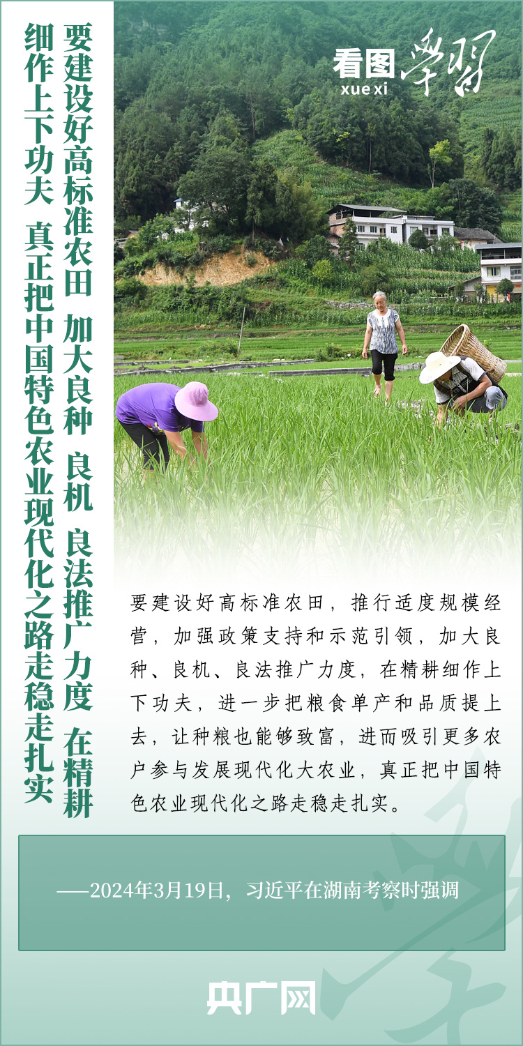 看圖學(xué)習(xí)丨推廣良田、良種、良法、良機(jī) 給農(nóng)業(yè)現(xiàn)代化插上科技的翅膀