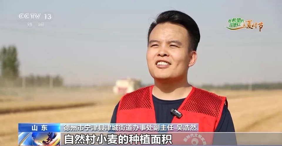 “三夏”生產(chǎn)思維導(dǎo)圖安排上了！還有政府大院等你來“曬”