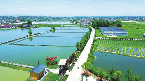 近年來(lái)，大成橋鎮(zhèn)堅(jiān)持加強(qiáng)黨對(duì)鄉(xiāng)村治理的集中統(tǒng)一領(lǐng)導(dǎo)，該鎮(zhèn)鄉(xiāng)村治理模式入選第二批全國(guó)鄉(xiāng)村治理典型案例。圖為美麗的大成橋鎮(zhèn)。（資料圖片）