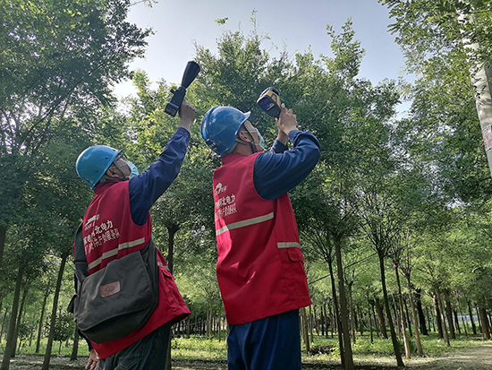 工作人員進(jìn)行紅外測溫及超聲波局部放電檢測。 王亮攝