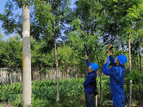 工作人員進(jìn)行紅外測溫及超聲波局部放電檢測。 王亮攝
