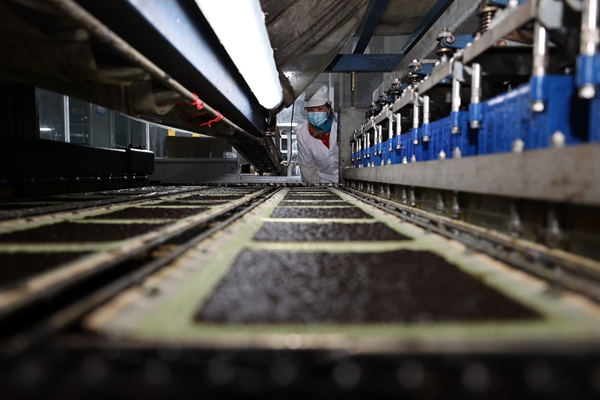 柘汪紫菜產(chǎn)業(yè)園內(nèi)入駐企業(yè)的紫菜生產(chǎn)線。贛榆區(qū)委宣傳部供圖