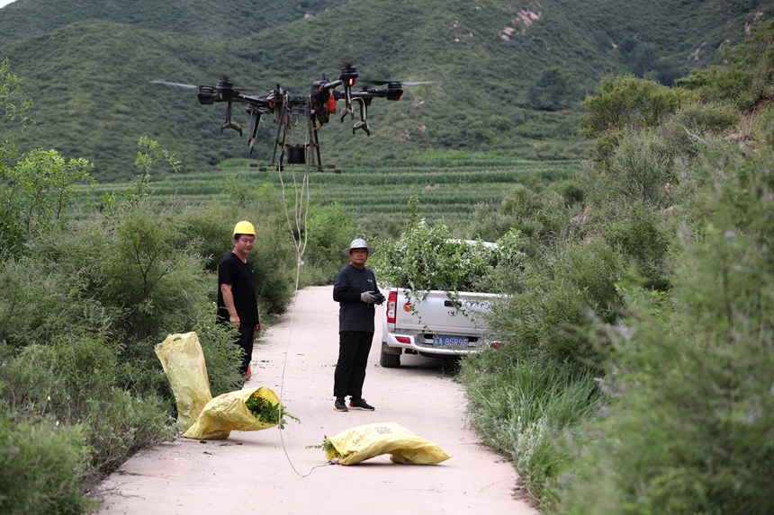 在石家莊市井陘縣吳家窯鄉(xiāng)長(zhǎng)峪村荒山造林現(xiàn)場(chǎng)，一名無(wú)人機(jī)手操控?zé)o人機(jī)運(yùn)輸樹(shù)苗。王保龍攝