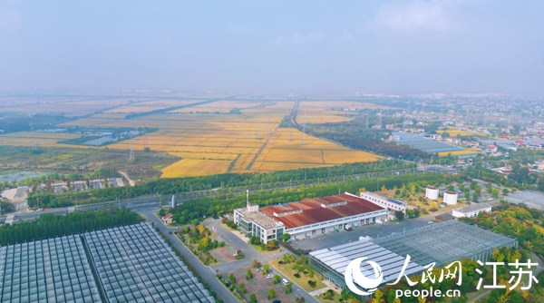 位于幸福街道的“萬頃良田”。人民網(wǎng)記者 王繼亮攝