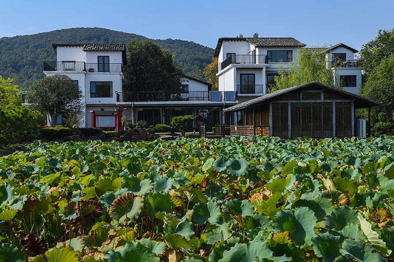 雨悅山房負責人原來在馬達加斯加打理酒店，之所以“從馬達加斯加到肥東”，源于對家鄉(xiāng)民宿前景看好。吳芳攝
