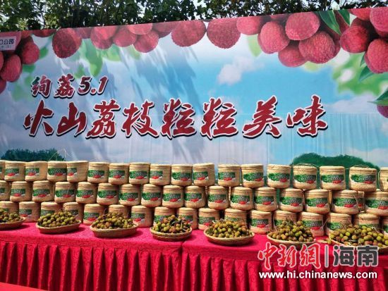 圖為活動現(xiàn)場。蘇桂除 攝