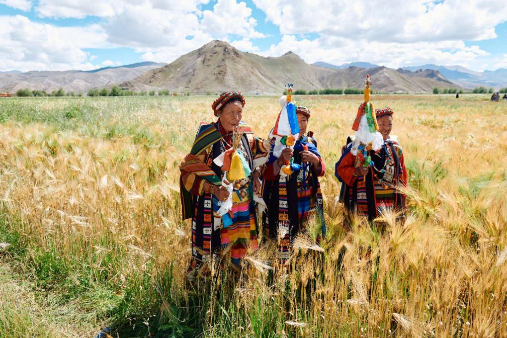 滬藏攜手構(gòu)建江孜氆氌全產(chǎn)業(yè)鏈體系:“指尖技藝”跨入發(fā)展“新賽道”