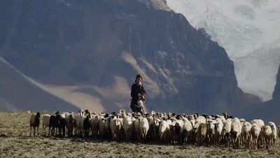 你看了嗎？藏語(yǔ)版《日光之城》“含金量”還在上升！